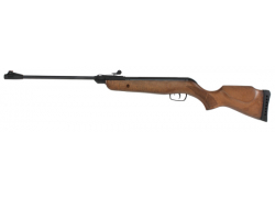 Винтовка пневматическая GAMO Delta Forest