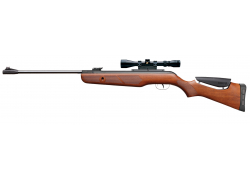 Винтовка пневматическая GAMO Hunter DX Combo (прицел 3-9х40WR)