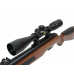 Винтовка пневматическая GAMO Maxima RX